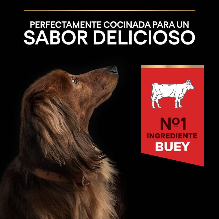 Pro Plan Duo D&eacute;lice Small & Mini pienso con buey para perros Imagen numero 7